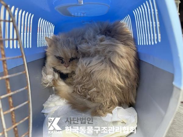 한국동물구조관리협회_441409202500587